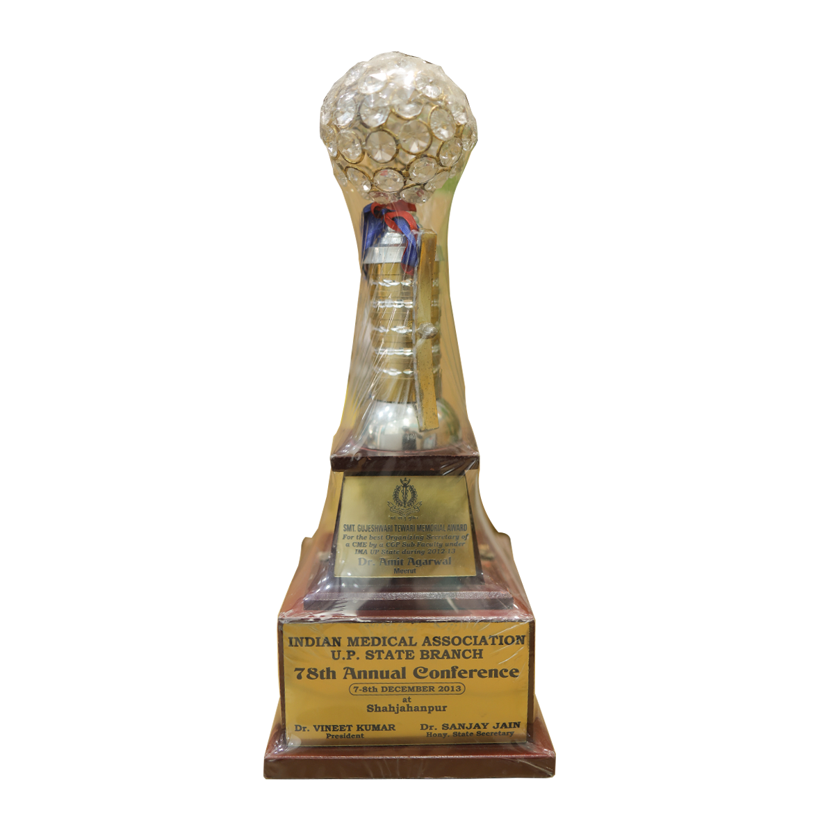 Indian Medical Association (IMA) U.P. State Branch Award – 78th Annual Conference (2013)